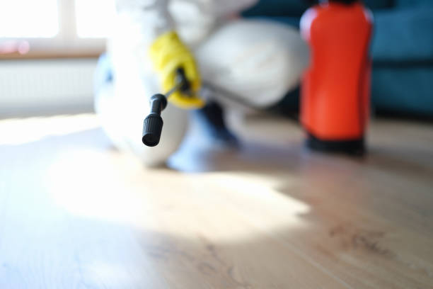 Best Post-Remediation Verification Testing  in Oakdale, PA